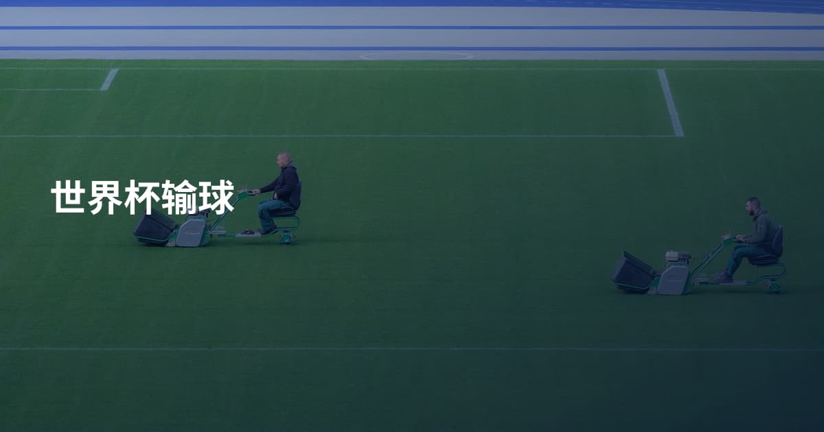 世界杯输球