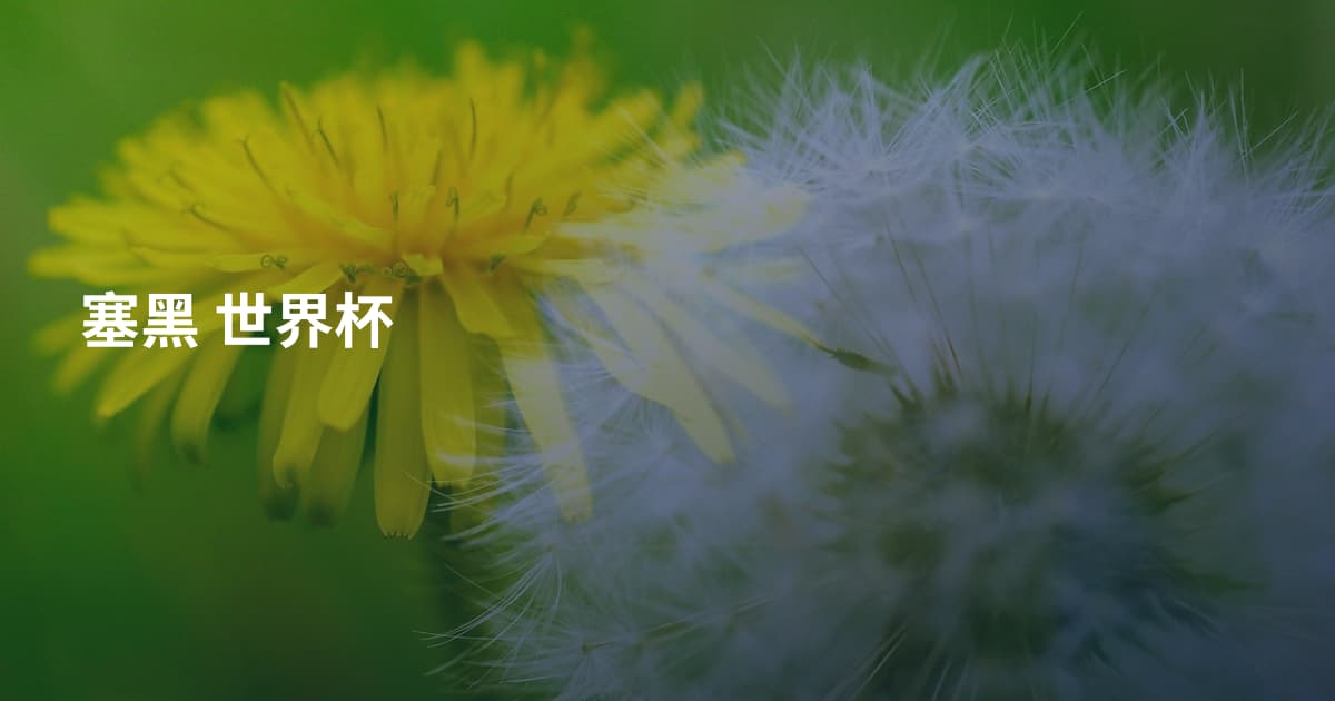 塞黑 世界杯