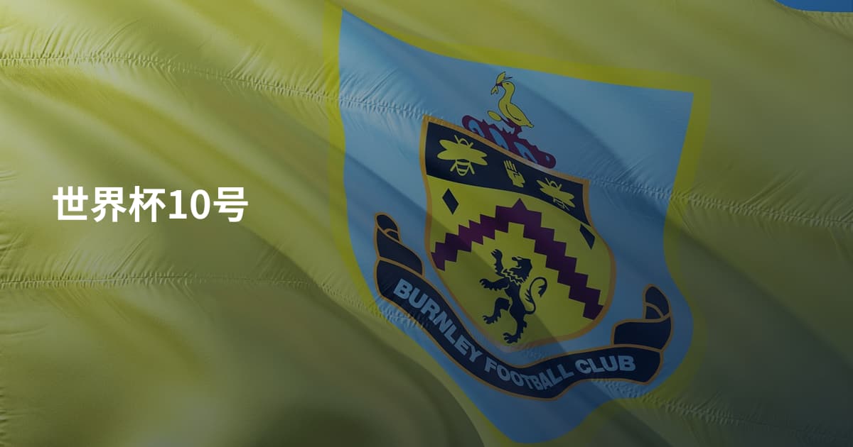 世界杯10号