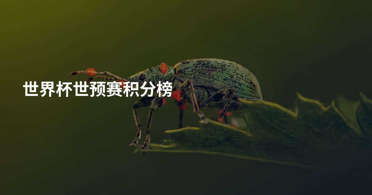 世界杯世预赛积分榜