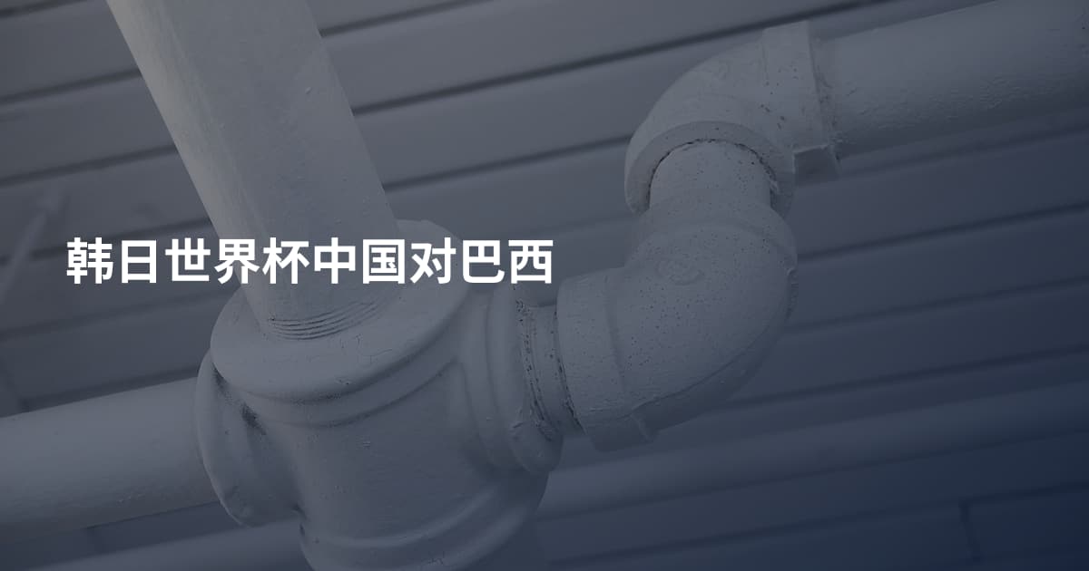 韩日世界杯中国对巴西