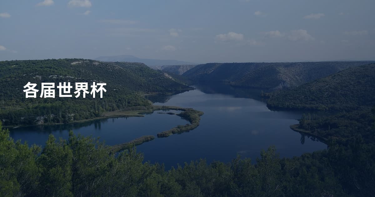 各届世界杯