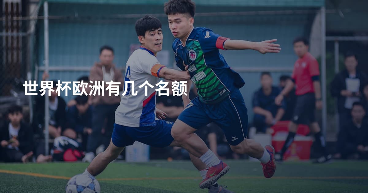 世界杯欧洲有几个名额