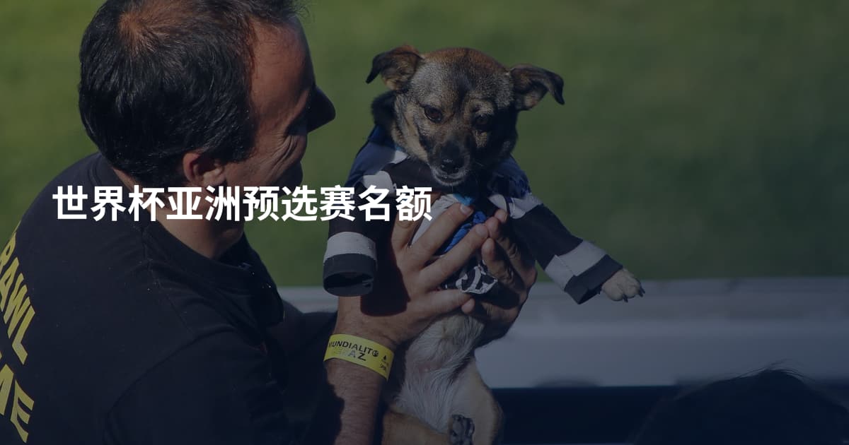 世界杯亚洲预选赛名额