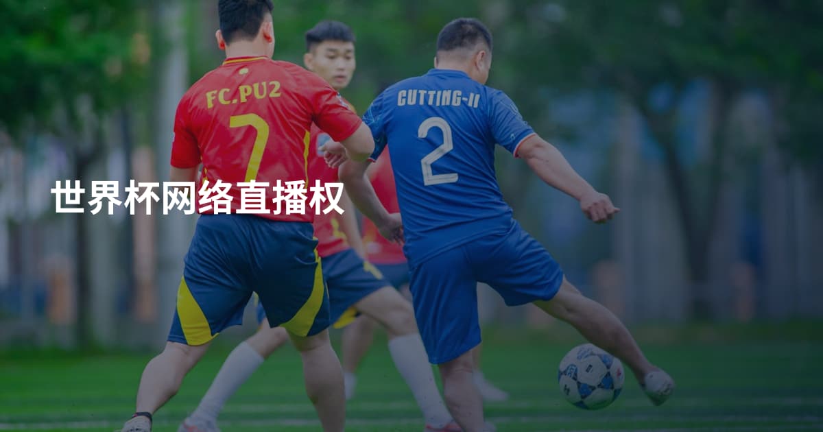 世界杯网络直播权