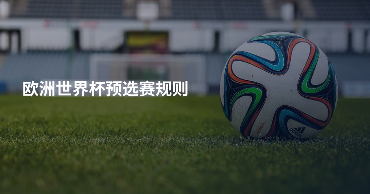 欧洲世界杯预选赛规则