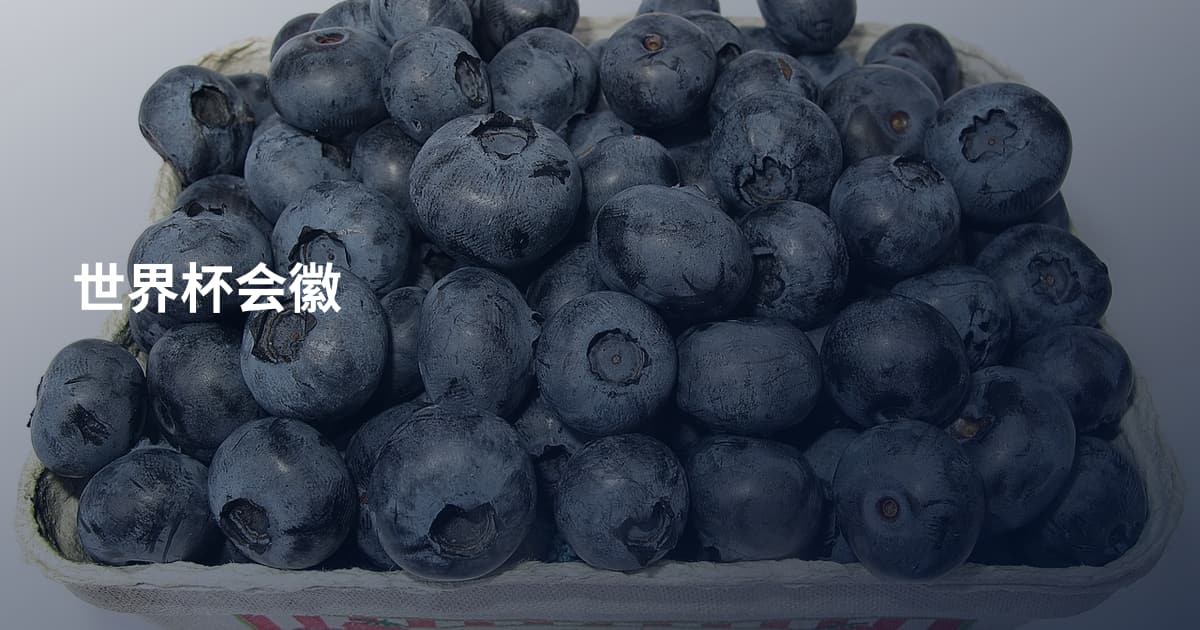 世界杯会徽