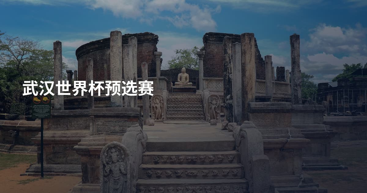 武汉世界杯预选赛