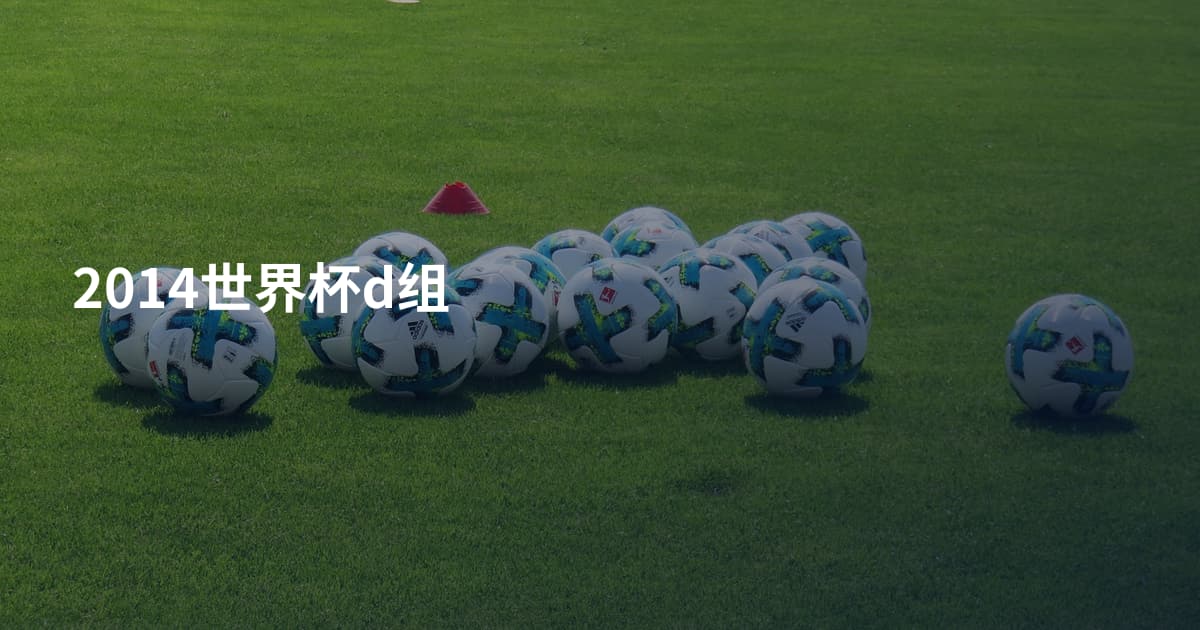 2014世界杯d组