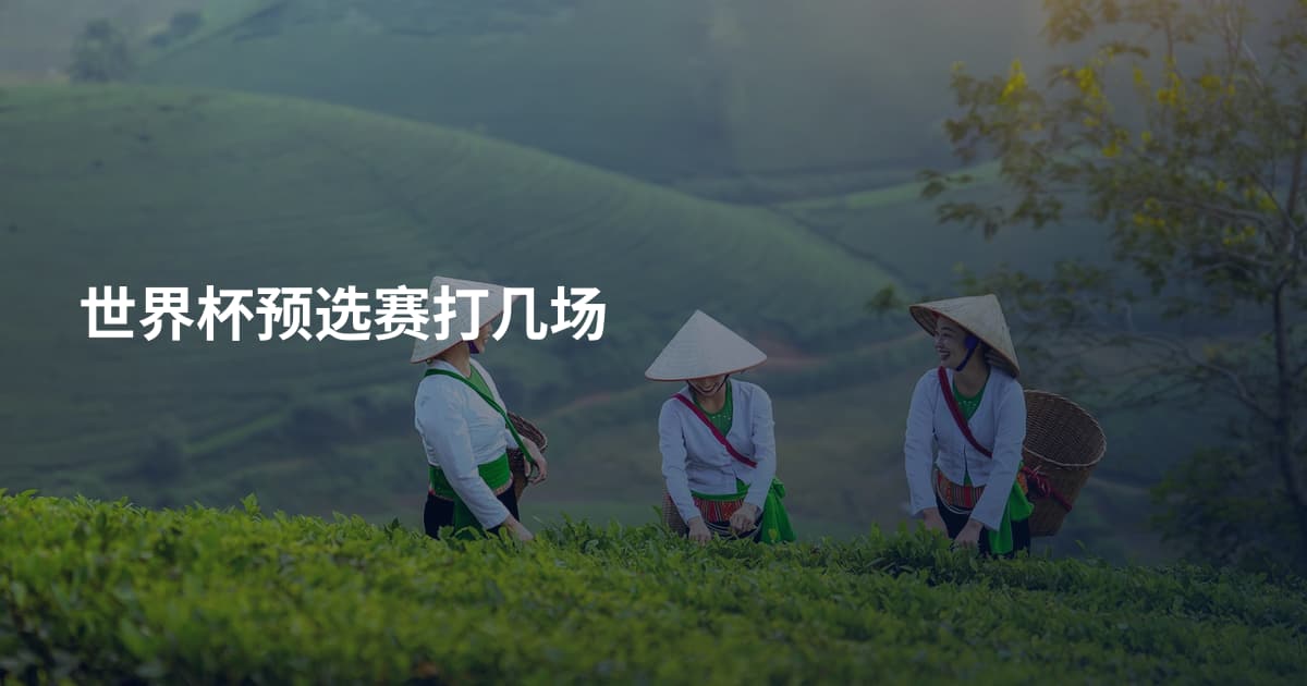 世界杯预选赛打几场