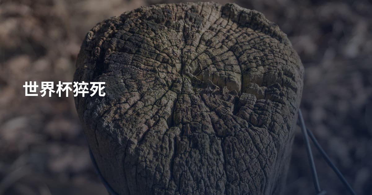 世界杯猝死