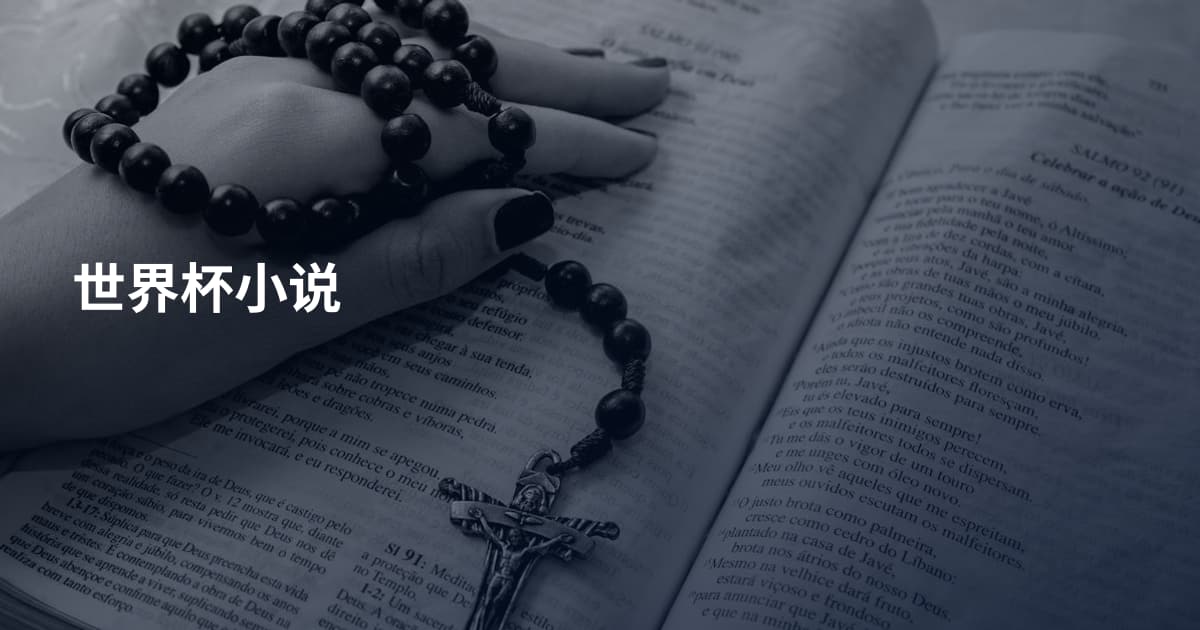 世界杯小说