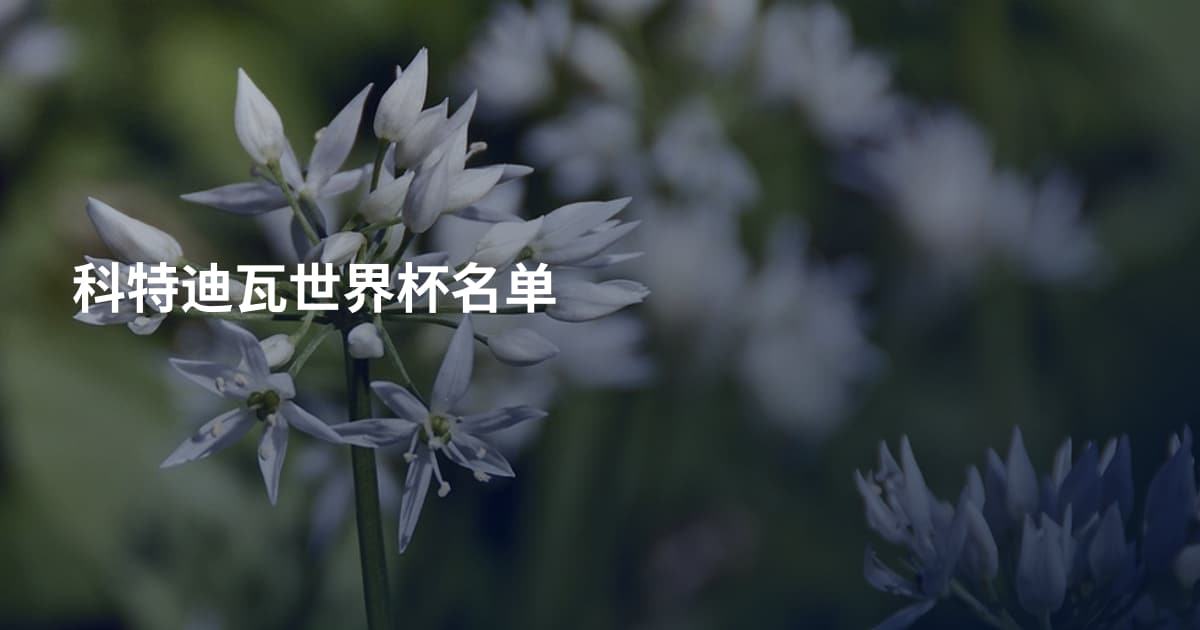 科特迪瓦世界杯名单