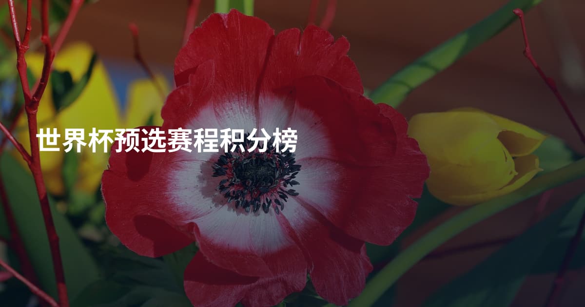 世界杯预选赛程积分榜