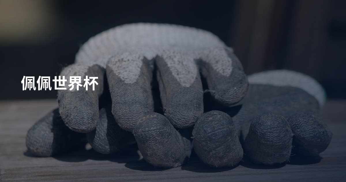 佩佩世界杯