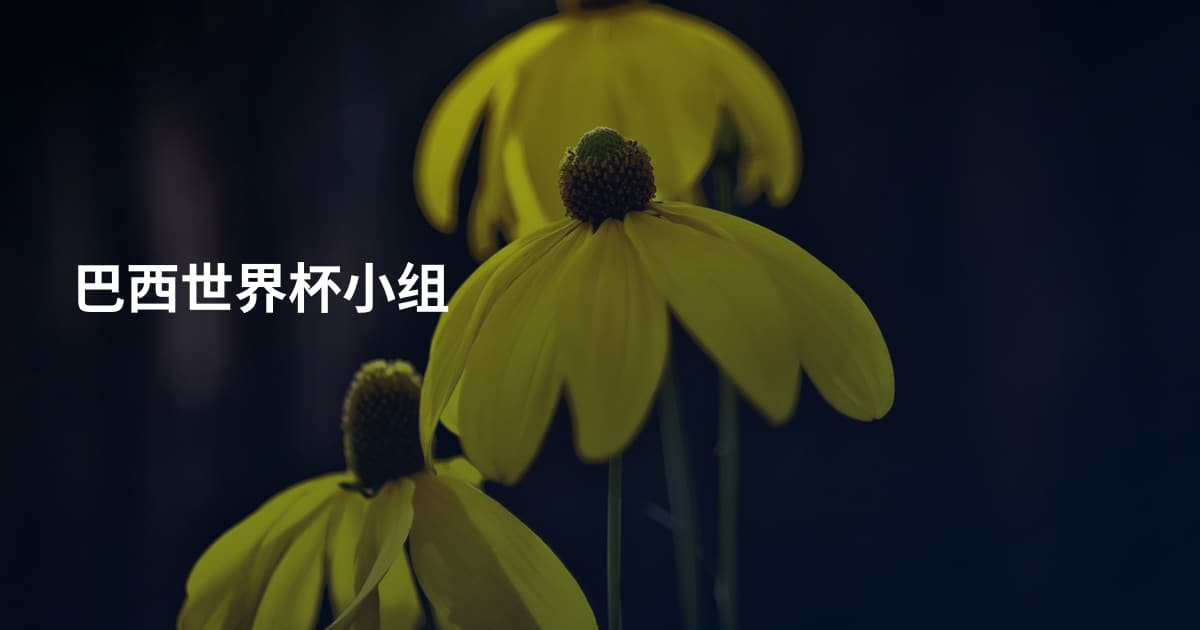 巴西世界杯小组