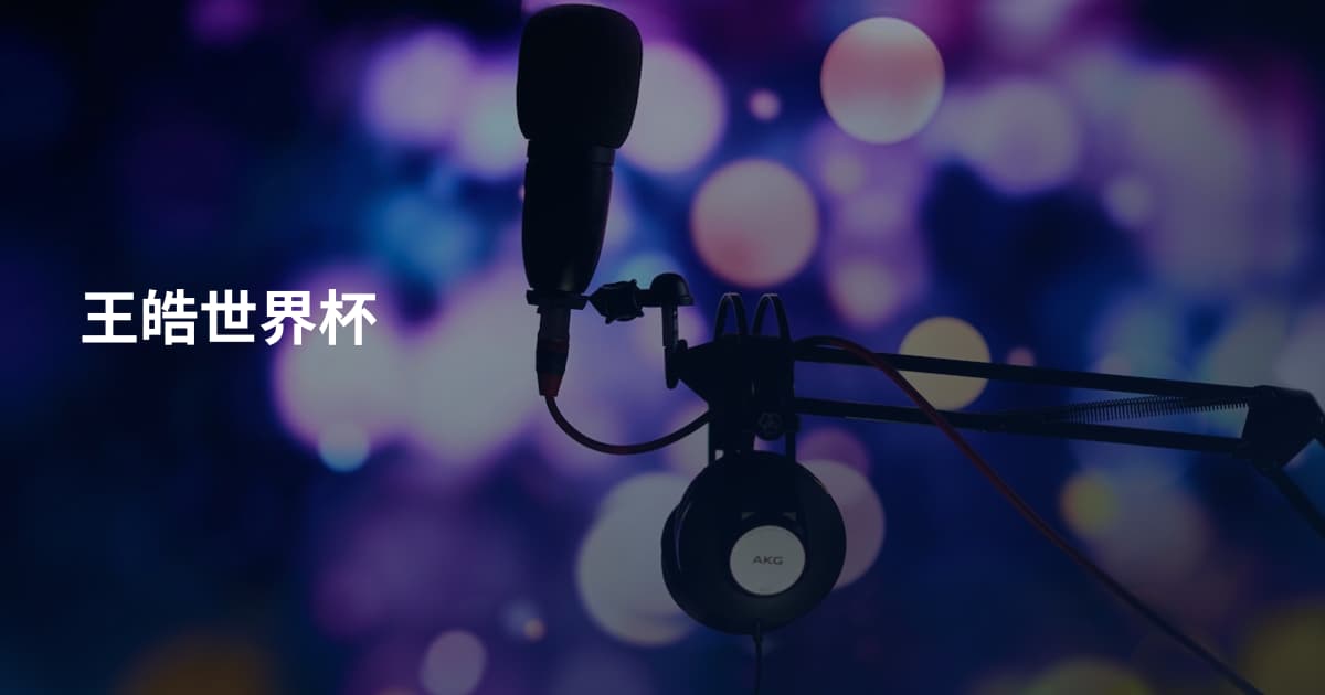 王皓世界杯