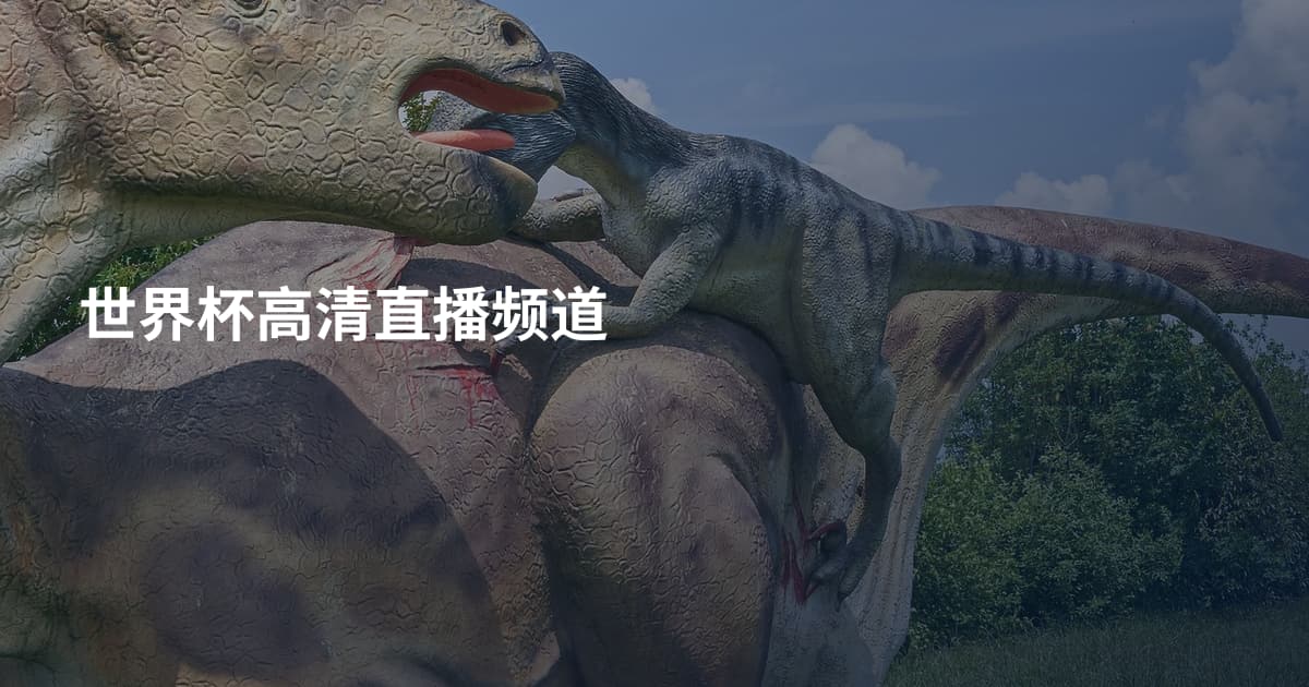 世界杯高清直播频道