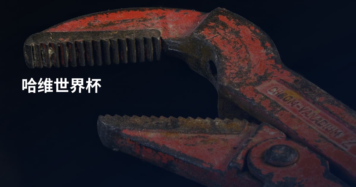 哈维世界杯