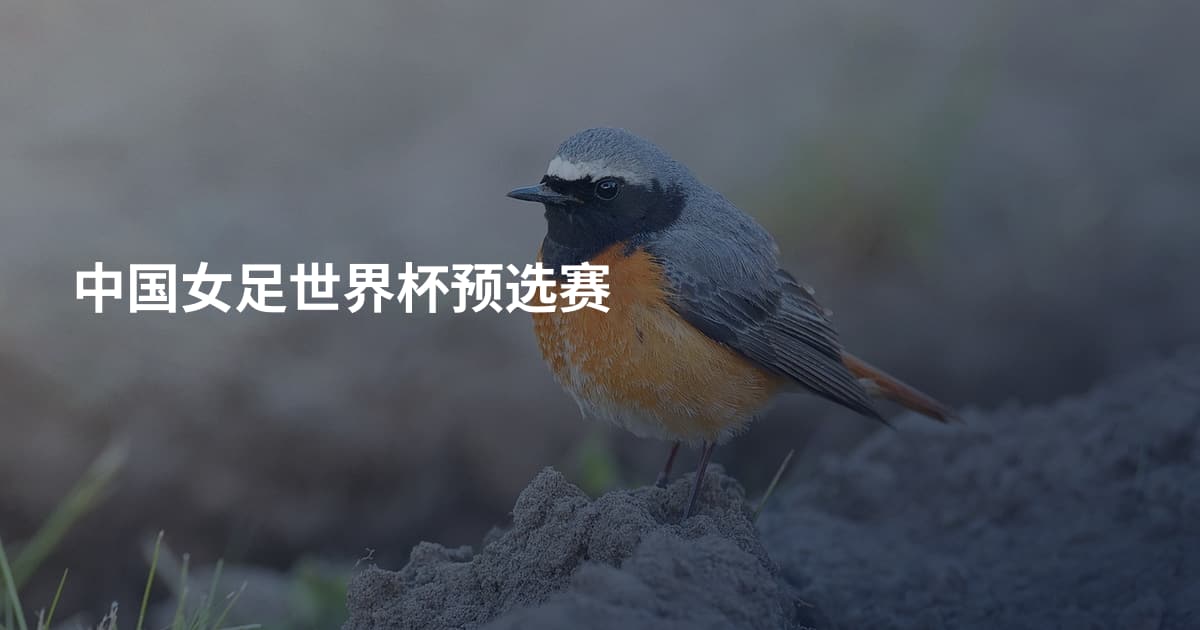 中国女足世界杯预选赛