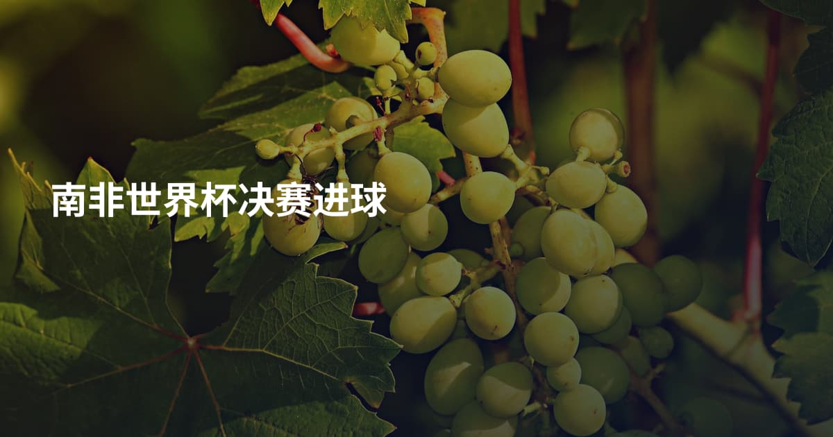 南非世界杯决赛进球