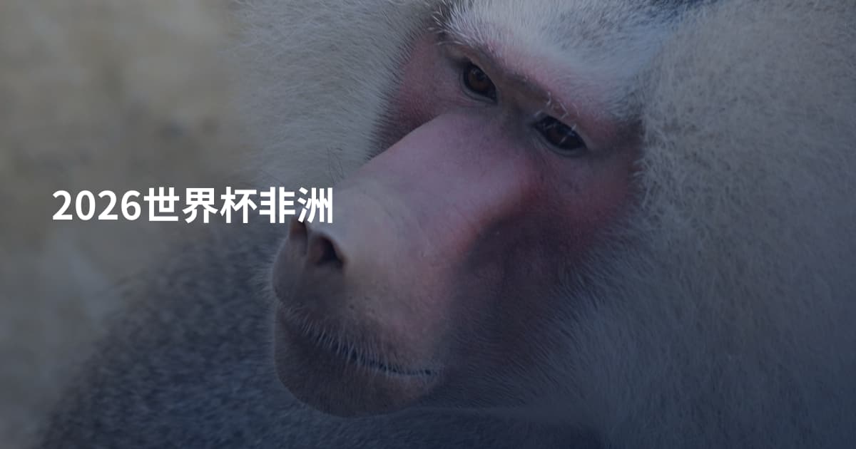 2026世界杯非洲