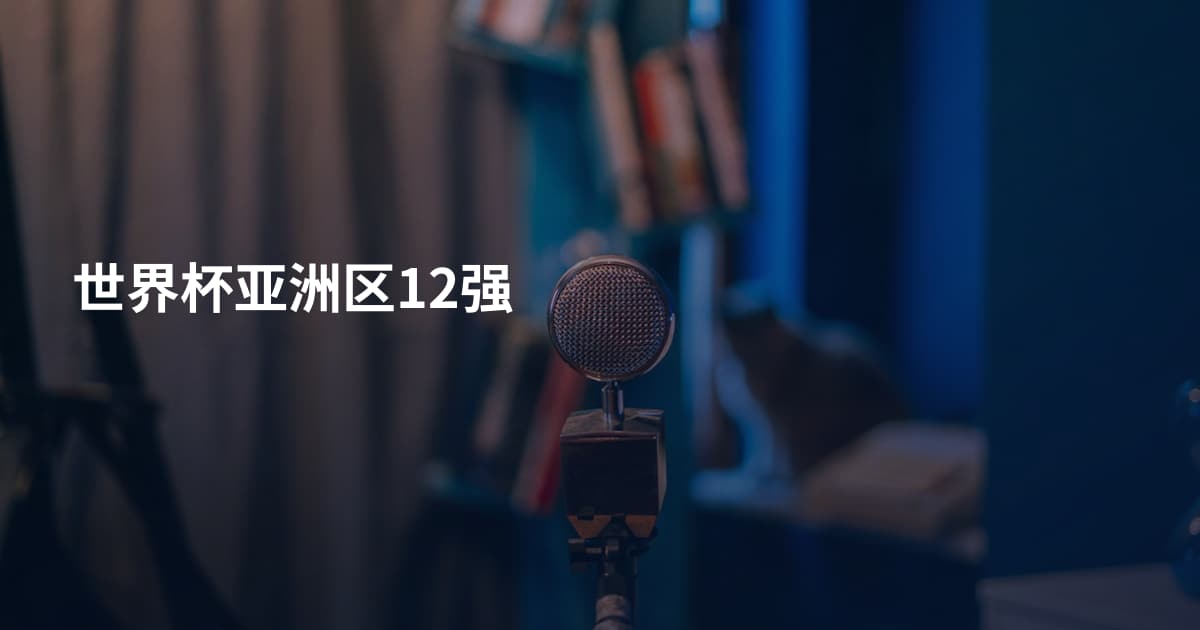 世界杯亚洲区12强