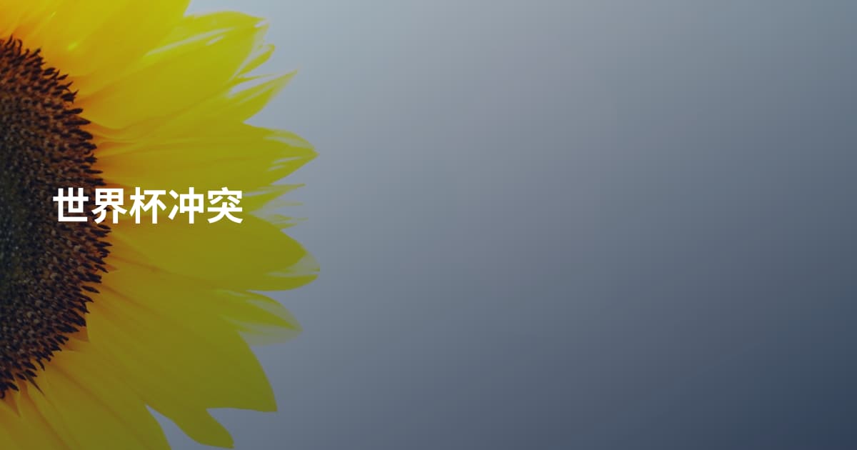 世界杯冲突