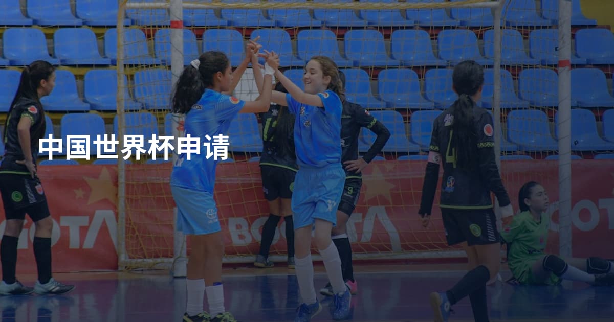 中国世界杯申请