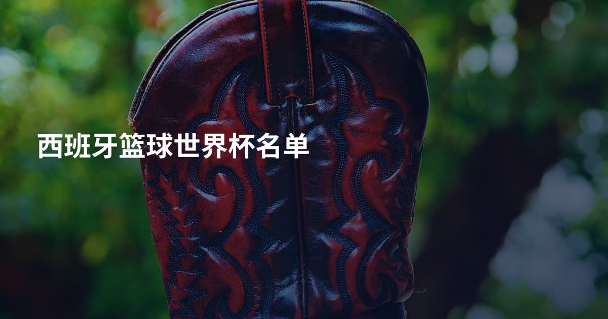 西班牙篮球世界杯名单