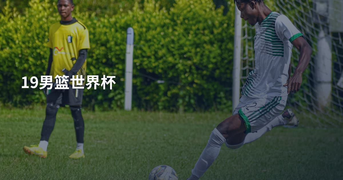 19男篮世界杯