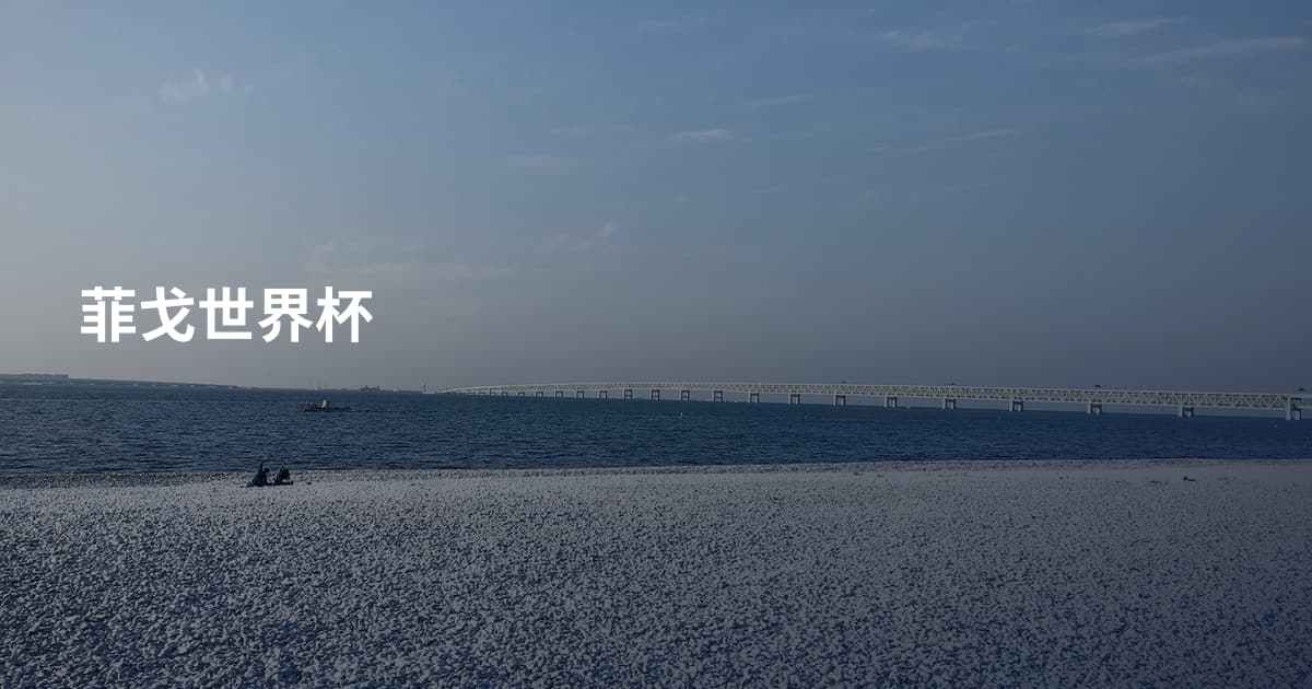 菲戈世界杯