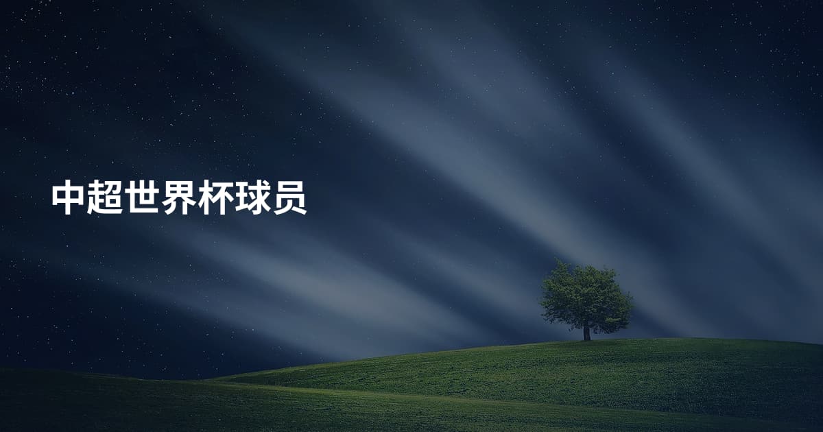中超世界杯球员