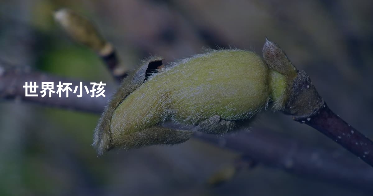 世界杯小孩