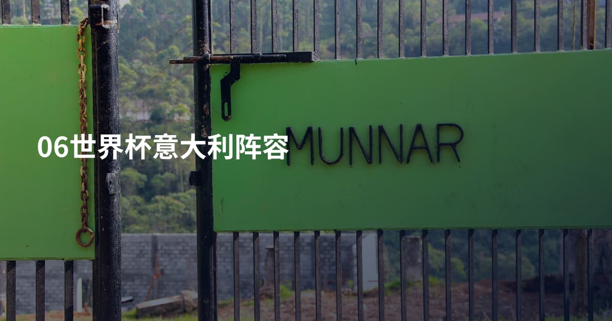 06世界杯意大利阵容