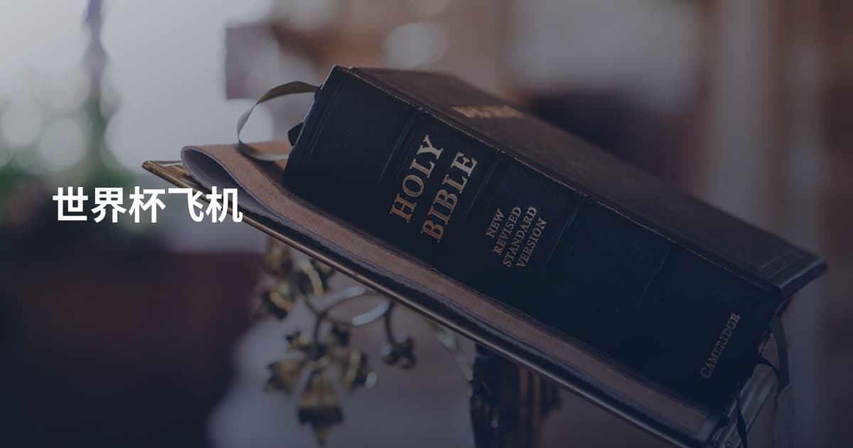 世界杯飞机