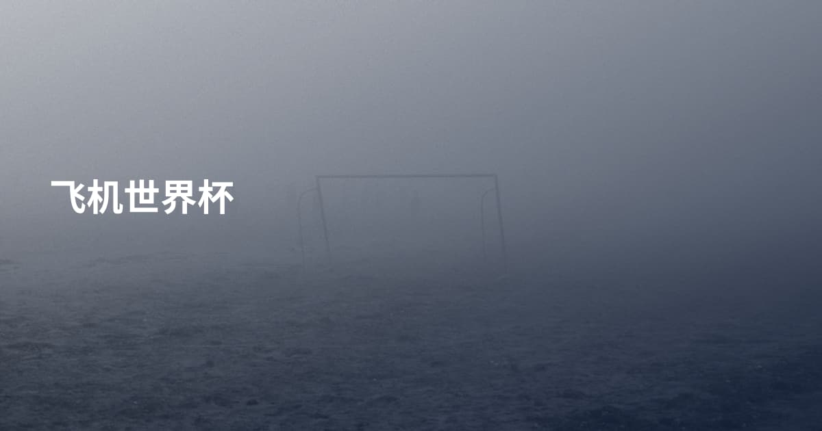 飞机世界杯