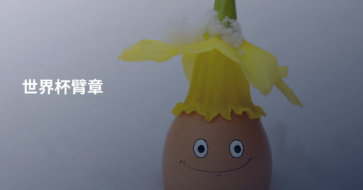 世界杯臂章