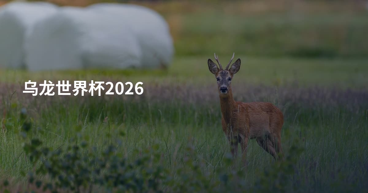 乌龙世界杯2026