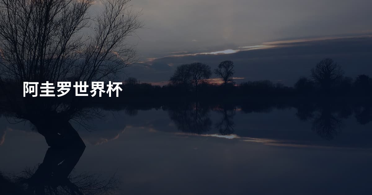 阿圭罗世界杯