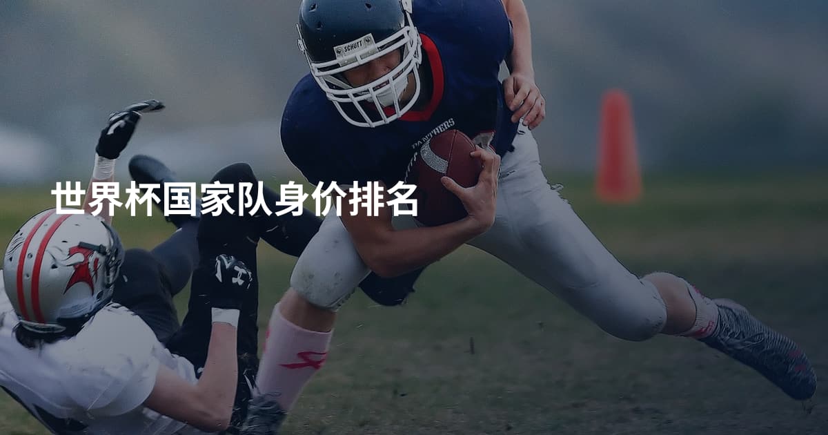 世界杯国家队身价排名