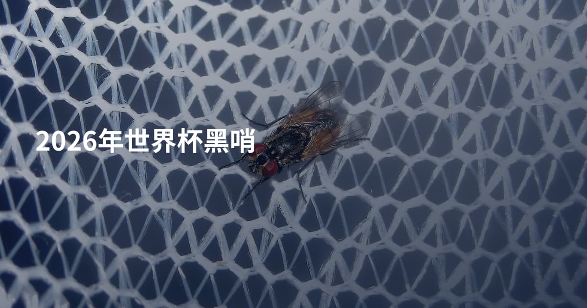 2026年世界杯黑哨
