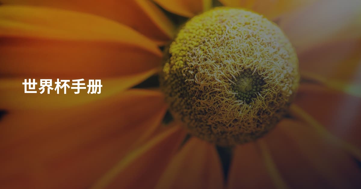 世界杯手册