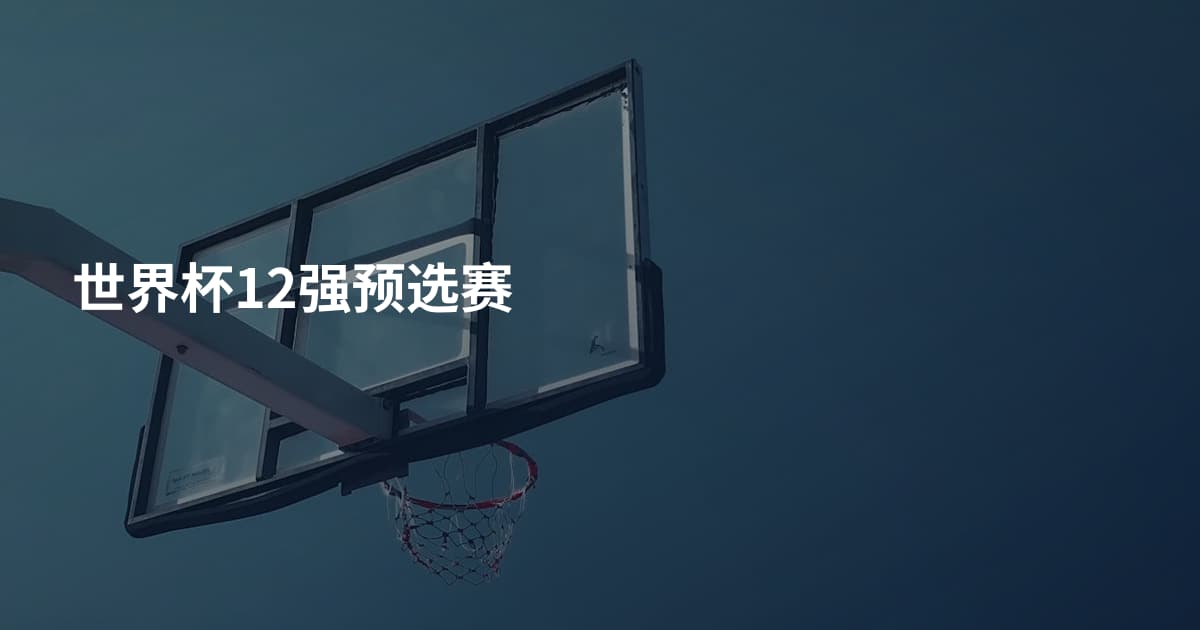 世界杯12强预选赛