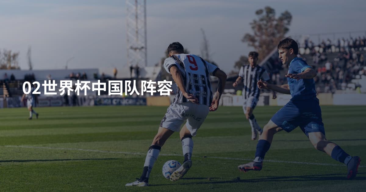 02世界杯中国队阵容