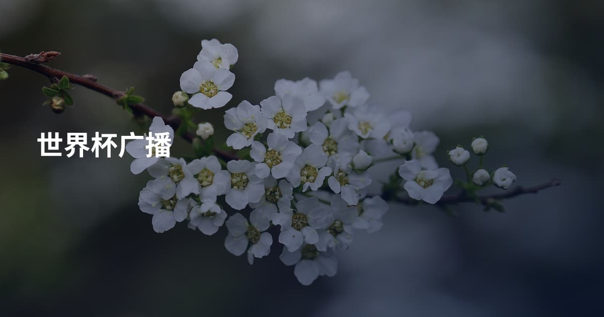 世界杯广播
