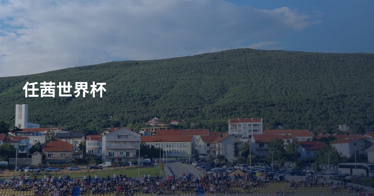 任茜世界杯