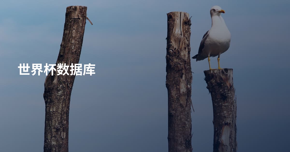 世界杯数据库
