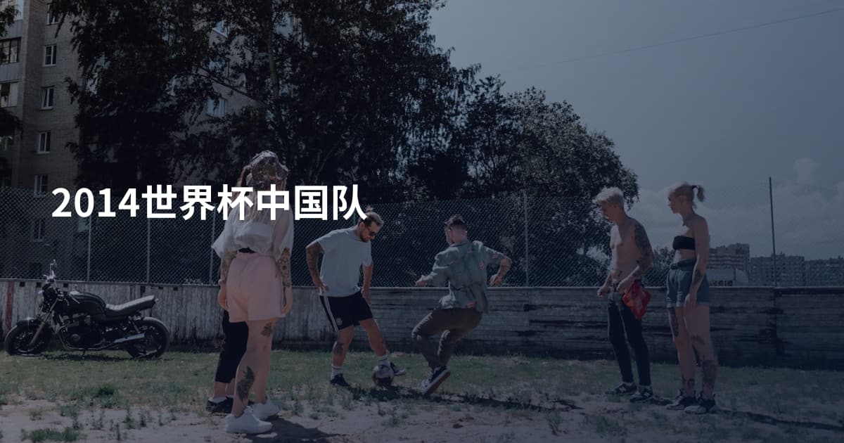 2014世界杯中国队