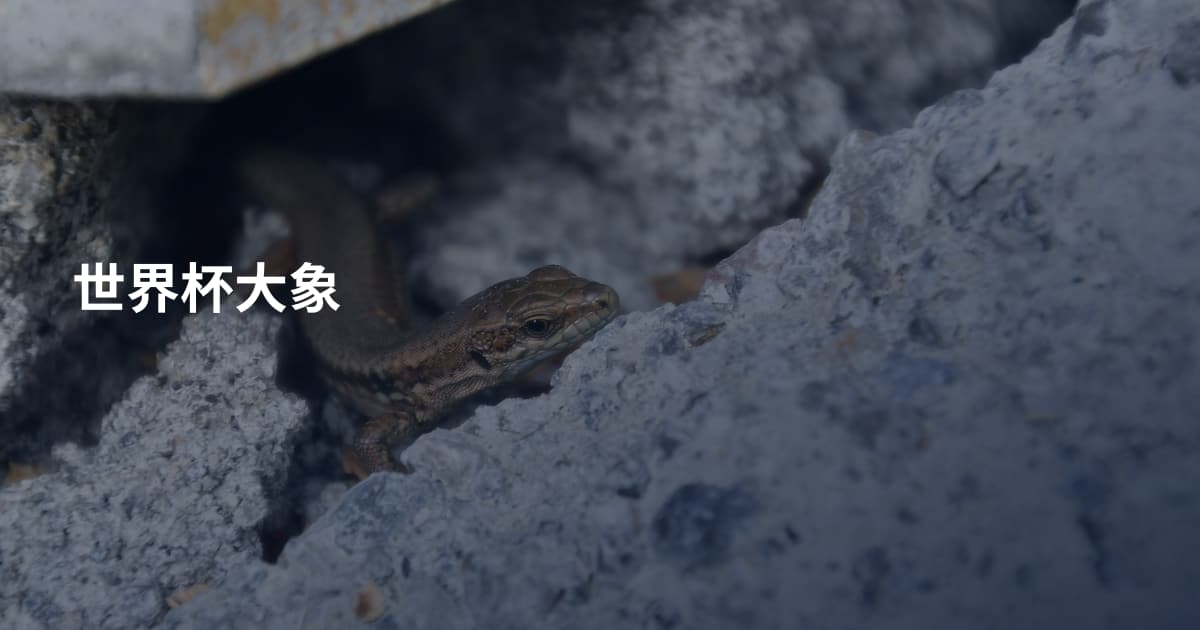 世界杯大象